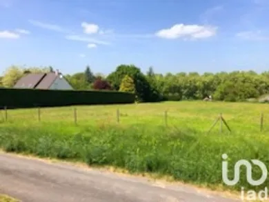 Terrain à Amboise (37400)
