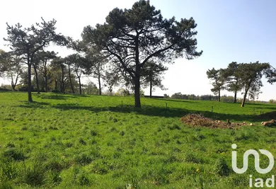 Building plot at Grand-Champ (56390)