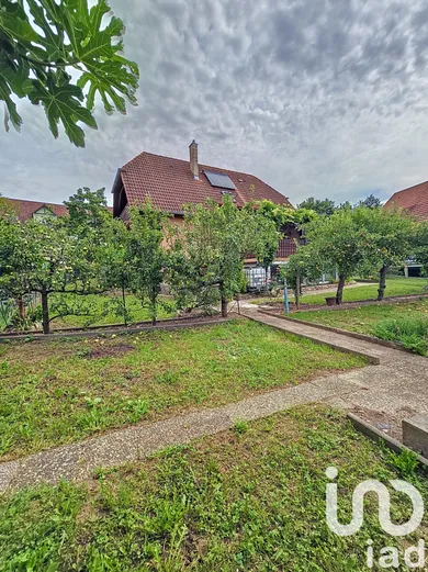 House at Obernai (67210)