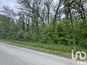 Land at Saint Martin la Pallu (86380)