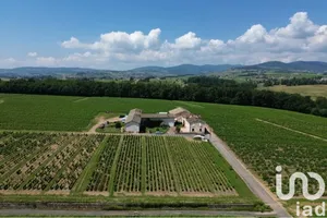 Farm at Arnas (69400)