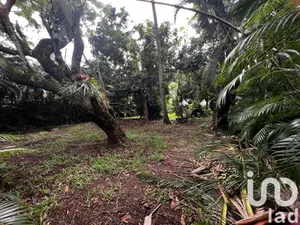 Building plot at Le Tampon (97418)