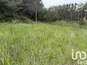 Terrain à bâtir à Murviel-lès-Montpellier (34570)