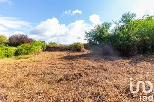 Terrain à Nalliers (85370)