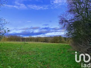 Terrain à Saints-en-Puisaye (89520)
