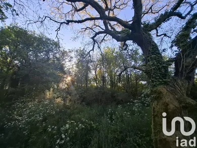 Farm land at La Bernerie-en-Retz (44760)