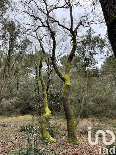 Terrain à Lanton (33138)