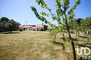 Maison traditionnelle à Sainte-Foy (85150)