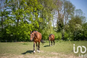 Domain at Quetteville (14130)