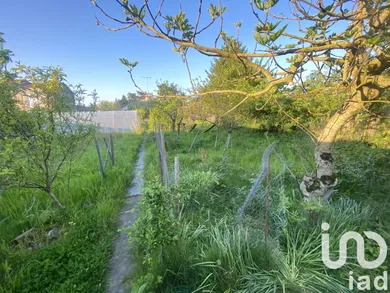 Terrain à bâtir à Maulévrier (49360)