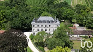 Castle at Segonzac (16130)