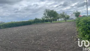 Building plot at Looberghe (59630)