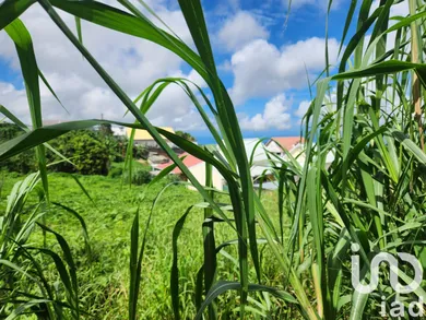 Terrain à bâtir à Le Tampon (97430)