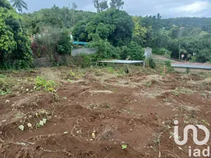 Land at Saint-Paul (97423)