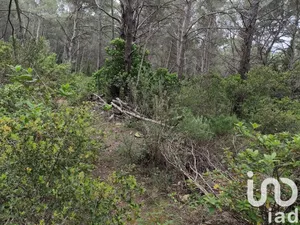 Terrain à Solliès-Pont (83210)