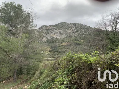 Terrain à bâtir à Gorbio (06500)