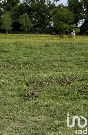 Terrain agricole  à AMBARES ET LAGRAVE (33440)