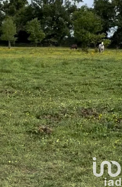 Terrain agricole  à AMBARES ET LAGRAVE (33440)