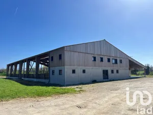 Horses property at Landeronde (85150)