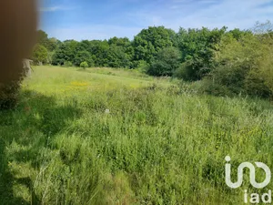 Terrain à Boueilh-Boueilho-Lasque (64330)