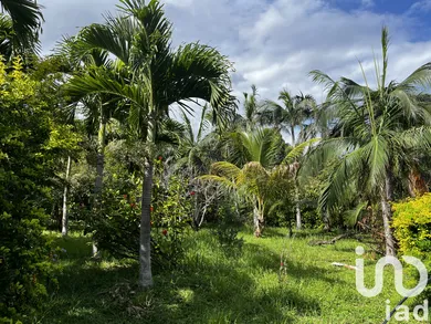Land in Petite-Île (97429)