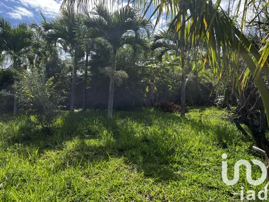 Land at Petite-Île (97429)