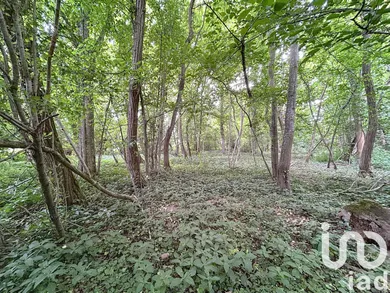 Terrain loisirs à Chailly-en-brie (77120)