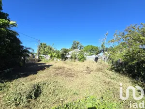 Terrain à bâtir à Saint-Pierre (97410)