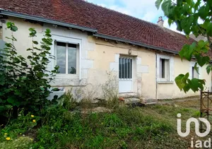 House at Selles-sur-Cher (41130)