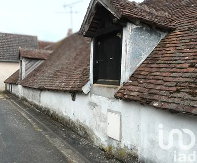 House in Selles-sur-Cher (41130)