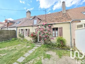Maison traditionnelle à Lion-en-Sullias (45600)