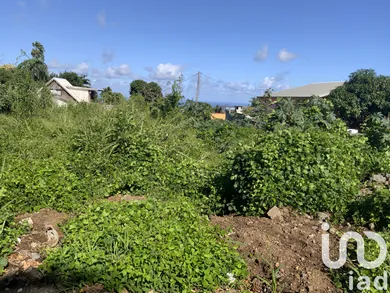 Terrain à bâtir à ST PIERRE (97410) — 8/8