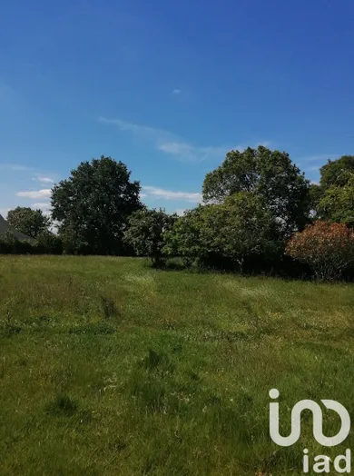 Land at Plessé (44630)