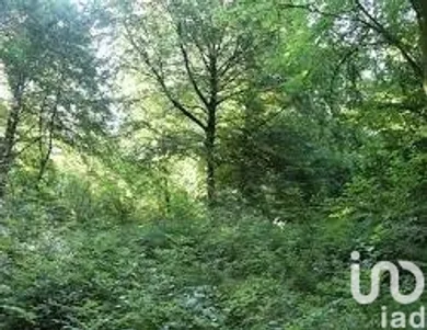 Terrain à Mareil-Marly (78750)