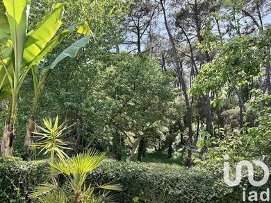 House at Tarnos (40220)