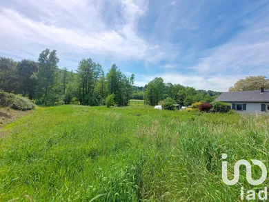 Land in Wisembach (88520)