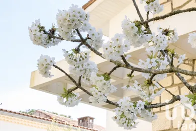 House at Royan (17200)