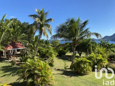 Appartement à Terre-de-Bas (97136)