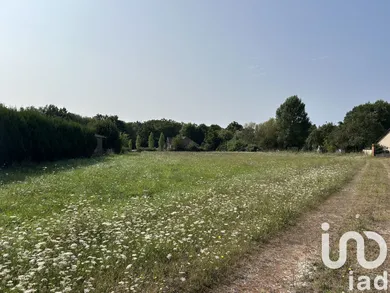 Terrain à bâtir à La Marolle En Sologne (41210)