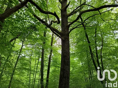 Terrain agricole  à Saint-Sulpice-de-Pommeray (41000)