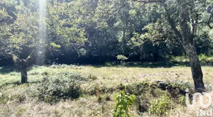 Farm land in Banassac (48500)