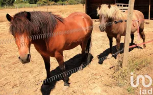 Mas à L'Isle-sur-la-Sorgue (84800)