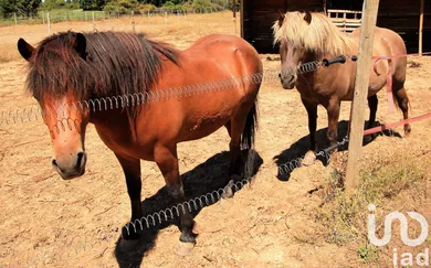 Mas at L'Isle-sur-la-Sorgue (84800)