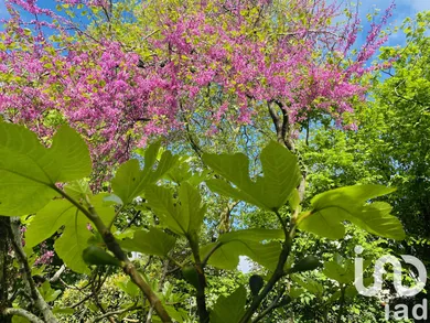 Maison traditionnelle à Saint-Herblain (44800)