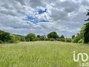 Land at Eaux-Puiseaux (10130)