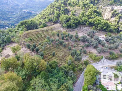 Land in Sainte-Agnès (06500)