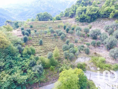 Land in Sainte-Agnès (06500)