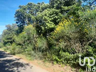 Farm land in Lagarde-Paréol (84290)