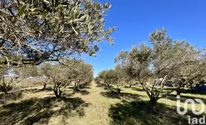 Terrain agricole  à Marseillan (34340)