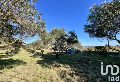 Terrain agricole  à Marseillan (34340)